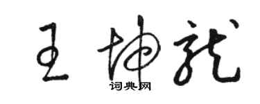 骆恒光王坤龙草书个性签名怎么写