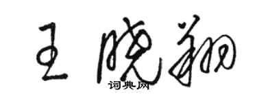骆恒光王晓翔草书个性签名怎么写