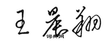 骆恒光王晨翔草书个性签名怎么写