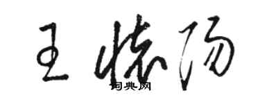 骆恒光王怀阳草书个性签名怎么写