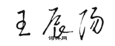 骆恒光王辰阳草书个性签名怎么写