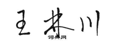 骆恒光王林川草书个性签名怎么写