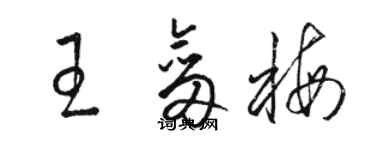 骆恒光王剑梅草书个性签名怎么写