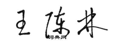 骆恒光王陈林草书个性签名怎么写
