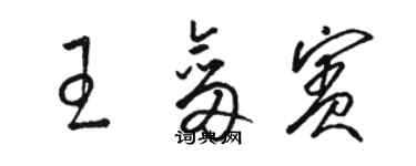 骆恒光王剑宾草书个性签名怎么写