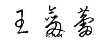 骆恒光王剑蕾草书个性签名怎么写