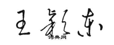 骆恒光王颖东草书个性签名怎么写