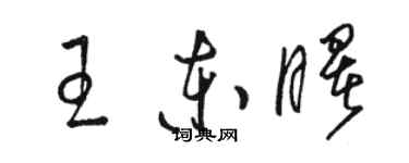 骆恒光王东曙草书个性签名怎么写