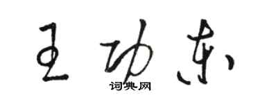 骆恒光王功东草书个性签名怎么写