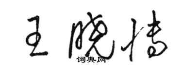 骆恒光王晓博草书个性签名怎么写