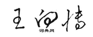 骆恒光王向博草书个性签名怎么写