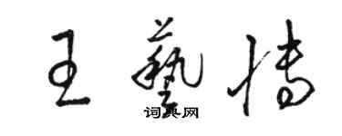 骆恒光王艺博草书个性签名怎么写