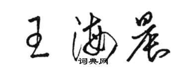 骆恒光王海晨草书个性签名怎么写