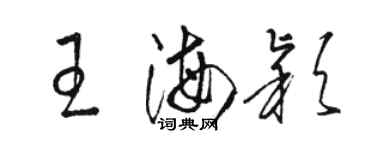 骆恒光王海颖草书个性签名怎么写