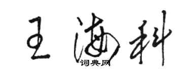 骆恒光王海科草书个性签名怎么写