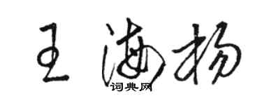 骆恒光王海杨草书个性签名怎么写