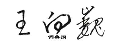 骆恒光王向巍草书个性签名怎么写