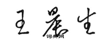 骆恒光王晨生草书个性签名怎么写