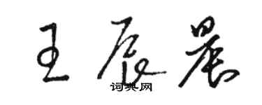 骆恒光王辰晨草书个性签名怎么写