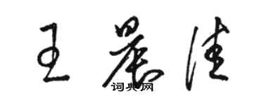 骆恒光王晨佳草书个性签名怎么写