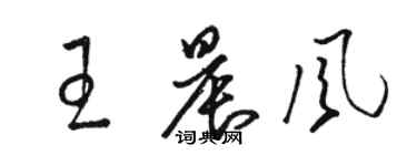 骆恒光王晨风草书个性签名怎么写
