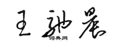 骆恒光王弛晨草书个性签名怎么写