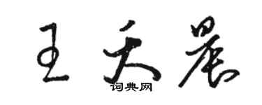 骆恒光王夭晨草书个性签名怎么写