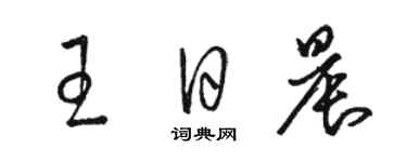 骆恒光王日晨草书个性签名怎么写