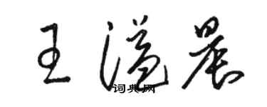 骆恒光王溢晨草书个性签名怎么写