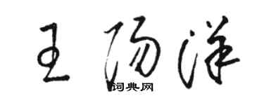 骆恒光王阳洋草书个性签名怎么写