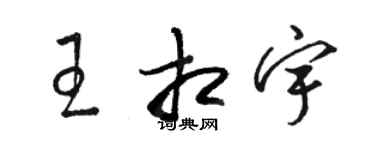 骆恒光王相宇草书个性签名怎么写