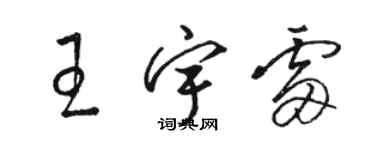 骆恒光王宇雷草书个性签名怎么写