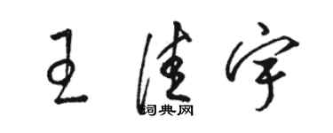 骆恒光王佳宇草书个性签名怎么写
