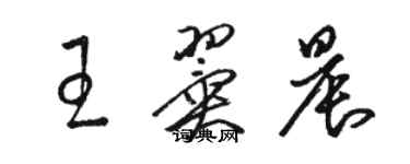 骆恒光王翼晨草书个性签名怎么写