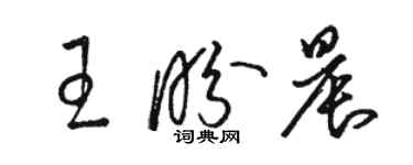 骆恒光王盼晨草书个性签名怎么写