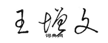 骆恒光王增文草书个性签名怎么写