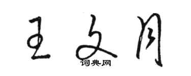 骆恒光王文月草书个性签名怎么写