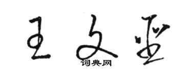 骆恒光王文圣草书个性签名怎么写