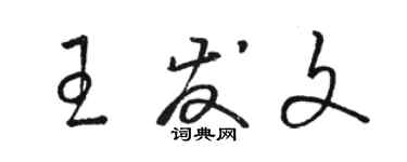 骆恒光王发文草书个性签名怎么写