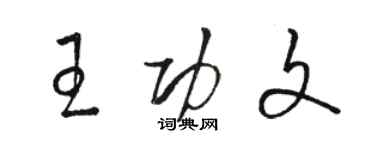 骆恒光王功文草书个性签名怎么写