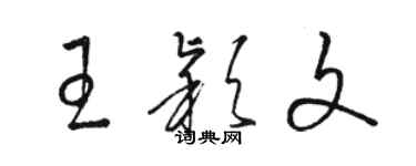 骆恒光王颖文草书个性签名怎么写