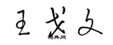 骆恒光王戈文草书个性签名怎么写