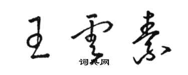 骆恒光王云素草书个性签名怎么写