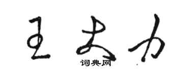 骆恒光王大力草书个性签名怎么写