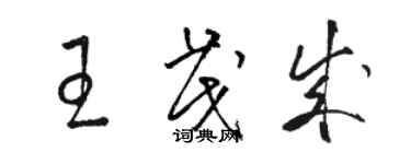骆恒光王茂成草书个性签名怎么写