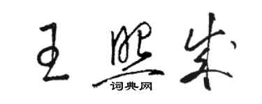 骆恒光王照成草书个性签名怎么写