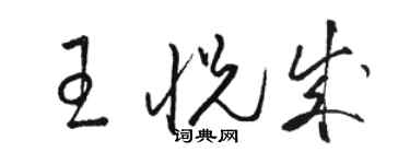 骆恒光王悦成草书个性签名怎么写