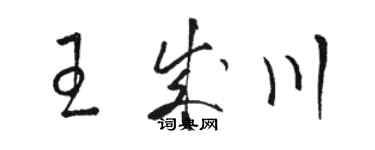 骆恒光王成川草书个性签名怎么写