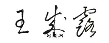 骆恒光王成露草书个性签名怎么写