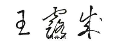 骆恒光王露成草书个性签名怎么写